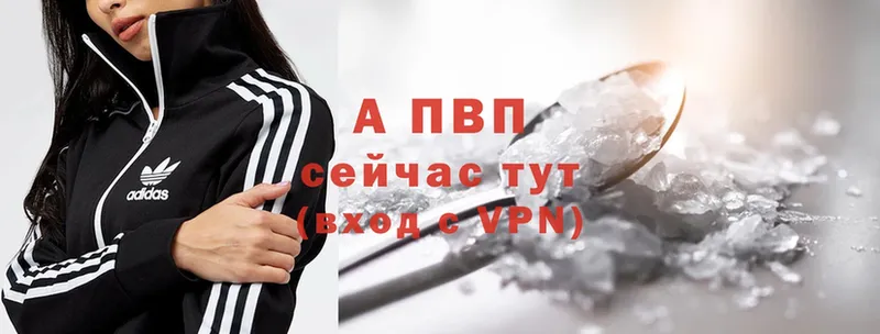 A PVP СК  Родники 