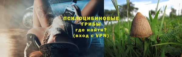 Альфа ПВП Магас