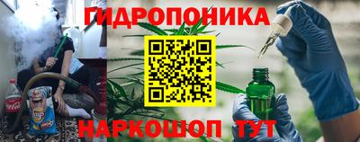 прущая мука Кингисепп