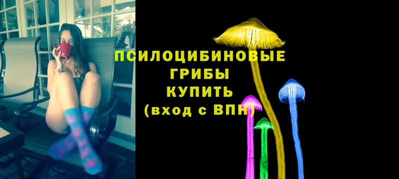 Псилоцибиновые грибы MAGIC MUSHROOMS Родники