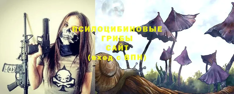 гидра ONION  Родники  Галлюциногенные грибы Psilocybe 