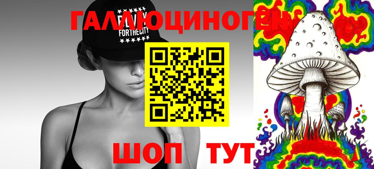 Галлюциногенные грибы мицелий Родники